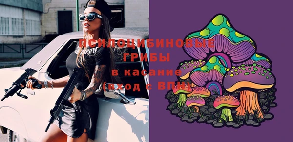 прущие грибы Алзамай