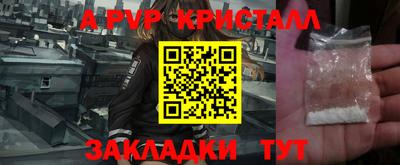 круглые Тара