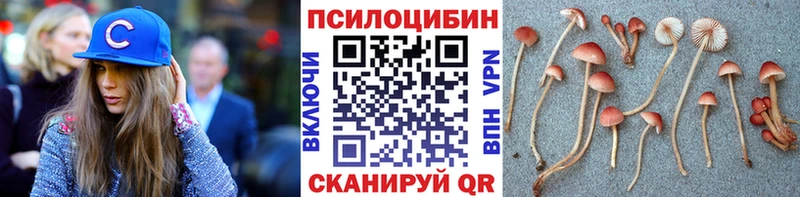 ссылка на мегу вход  Орск  мориарти как зайти  купить закладку  Псилоцибиновые грибы прущие грибы 