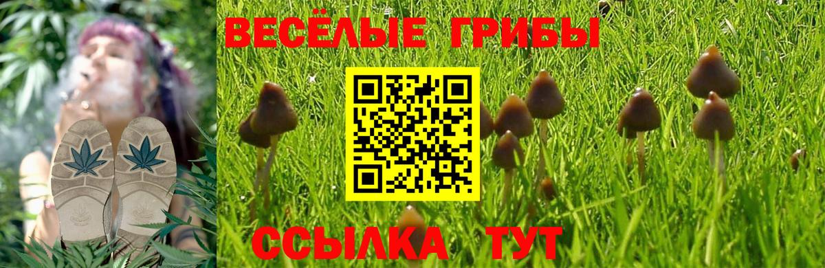 Галлюциногенные грибы GOLDEN TEACHER  Псилоцибиновые грибы прущие грибы  Вход с VPN  Орск 